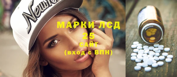 амф Новодвинск