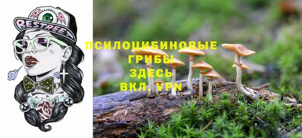 ГАЛЛЮЦИНОГЕННЫЕ ГРИБЫ Абинск