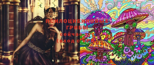 ГАЛЛЮЦИНОГЕННЫЕ ГРИБЫ Абинск