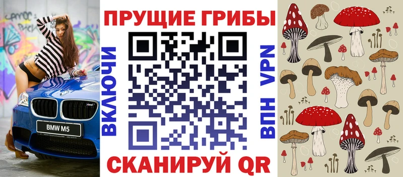 Галлюциногенные грибы Psilocybine cubensis  darknet какой сайт  Новоуральск 
